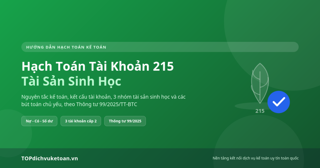 Hạch toán tài khoản 215 - TOP dịch vụ kế toán